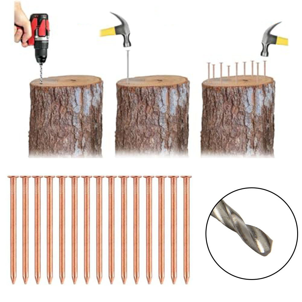 Gardening Tools Target - أظافر نحاسية صلبة مقاس 2 بوصة