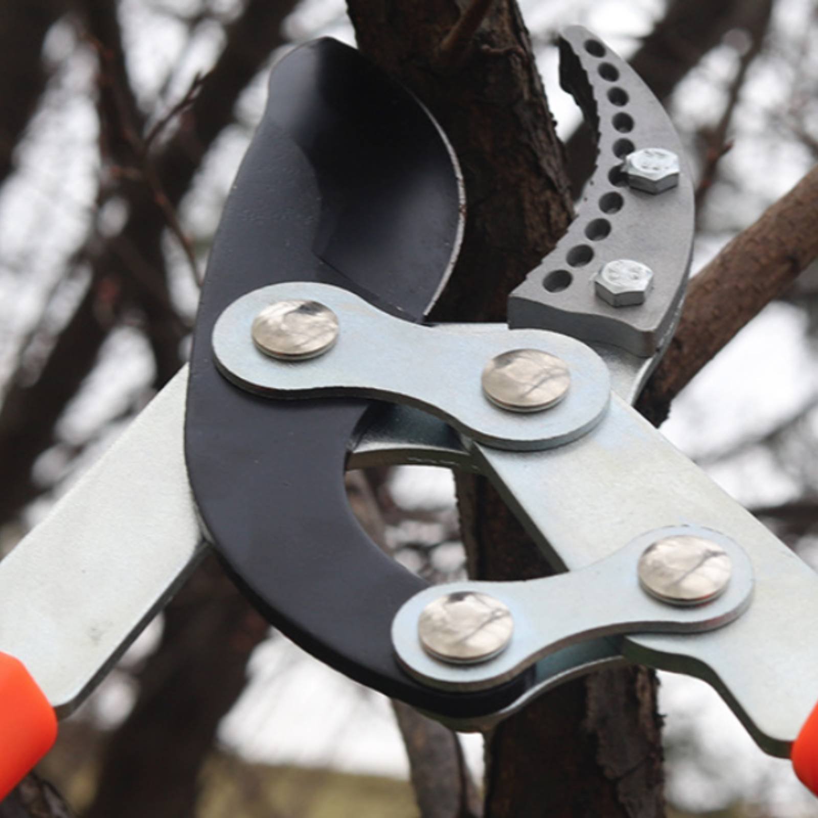 Gardening Tools Of - مقصات تقليم الأغصان التلسكوبية ذات الشفرة