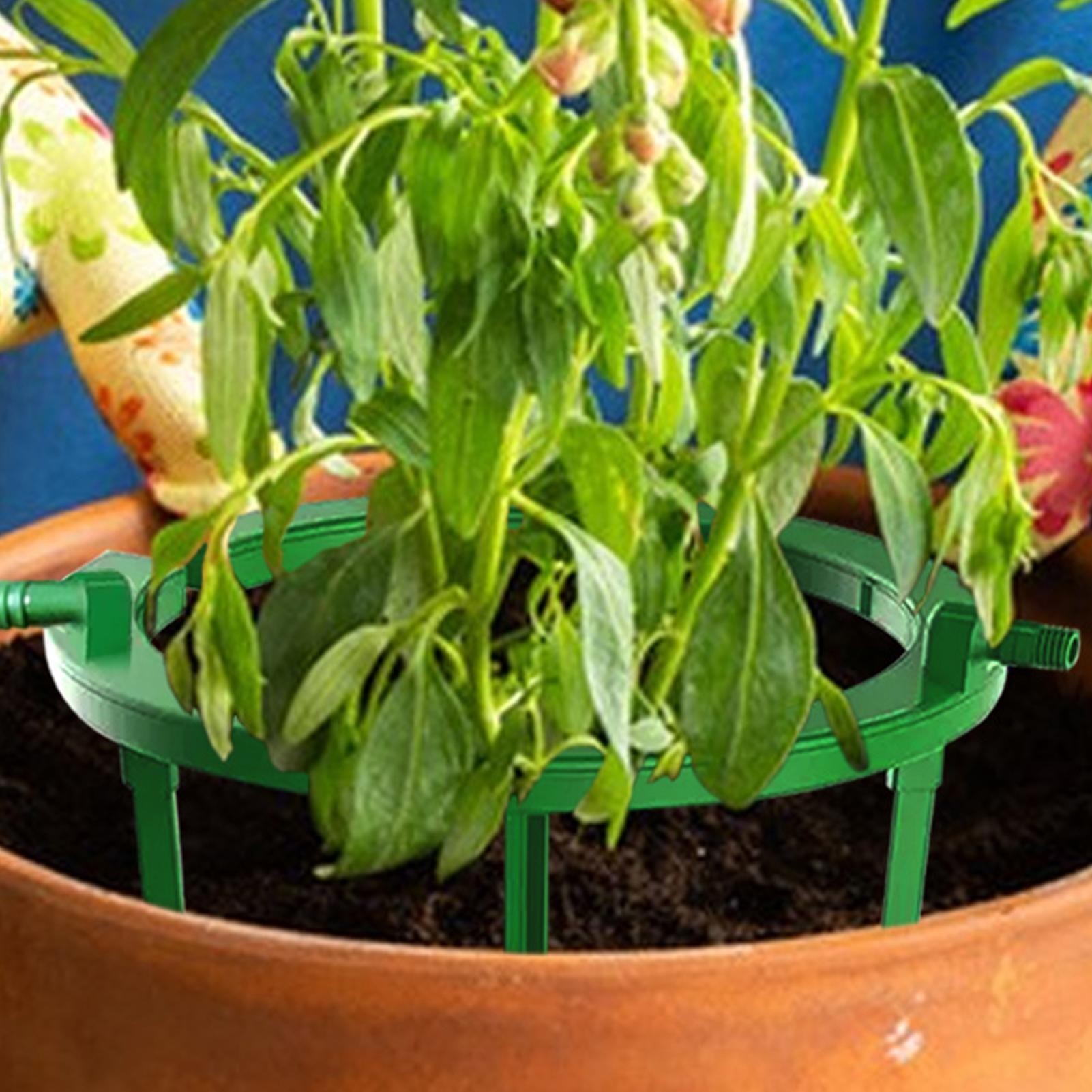 حلقات ري النباتات، حلقات الري  - مراجعة Gardening Tools Target وسعره