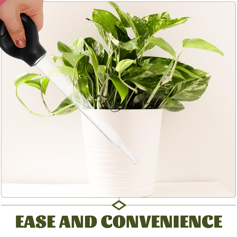 3 قطع صواني نباتات لامتصاص الم - مراجعة Gardening Tools And Equipment وسعره