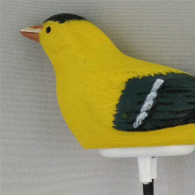 جهاز قياس رطوبة التربة 8X مع إ - مراجعة Gardening Tools Yellow وسعره