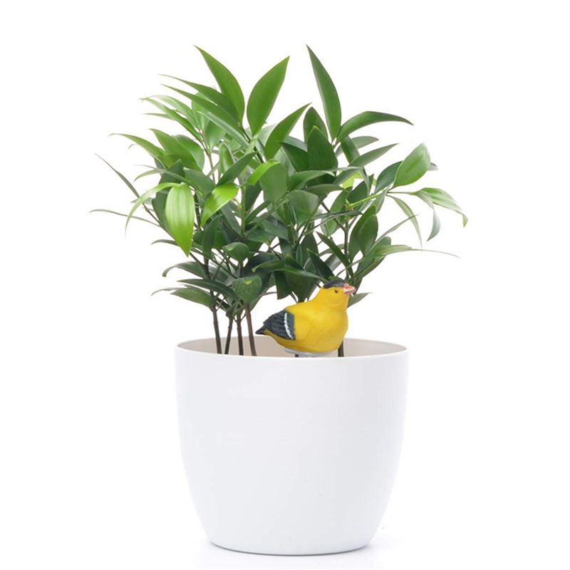 جهاز قياس رطوبة التربة 8X مع إ - مراجعة Gardening Tools Yellow وسعره