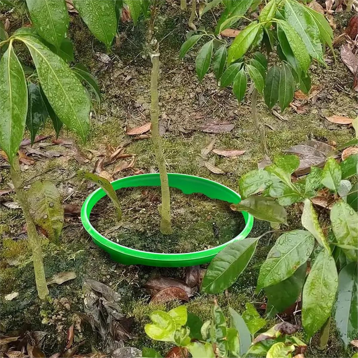 خصم كبير على 4 حلقات حماية للن - مراجعة Gardening Tools Big وسعره