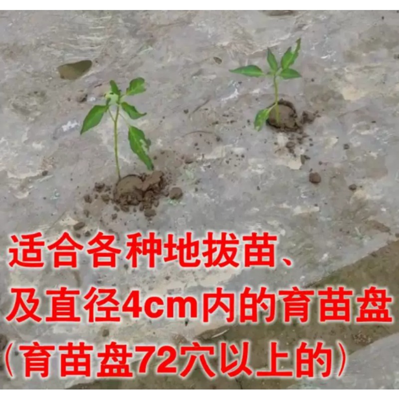 أداة زراعية لزراعة الشتلات في  - مراجعة Fertilizer Dispenser وسعره